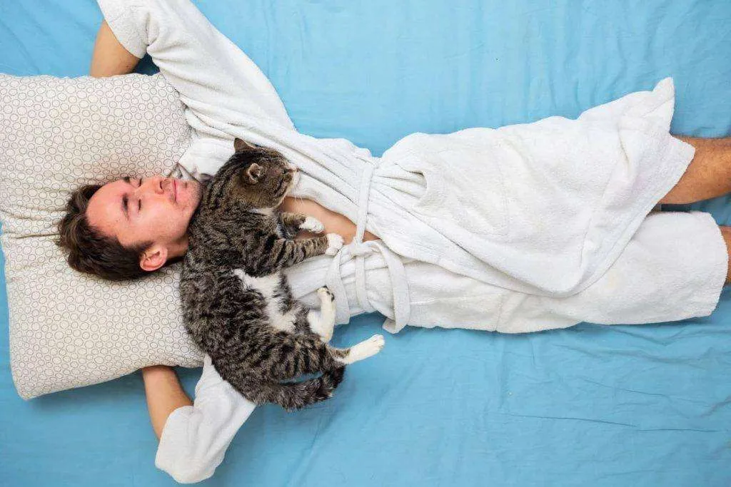 Le 8 posizioni in cui dormono i gatti 9 Gatto che dorme su di te